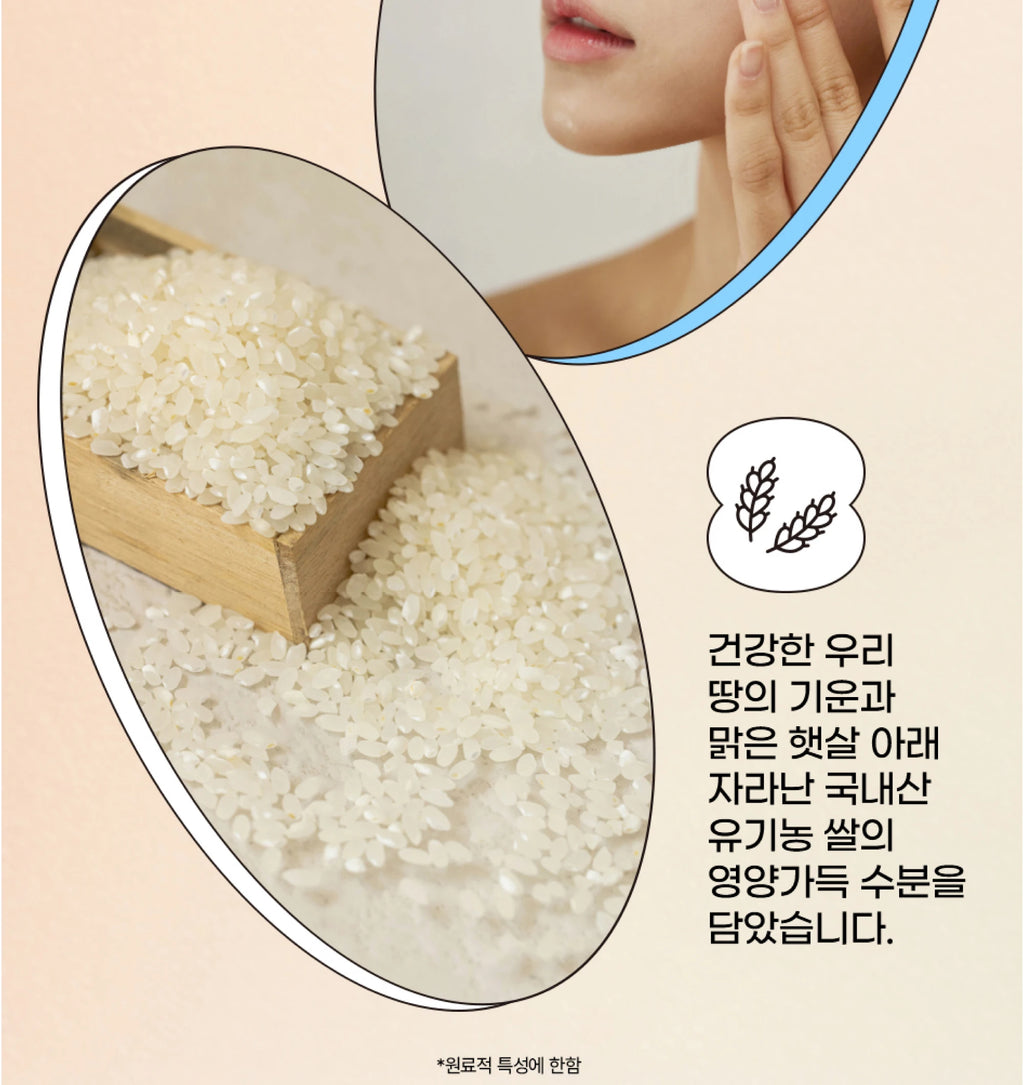 Korean Rice Probiotic Sunscreen SPF50+