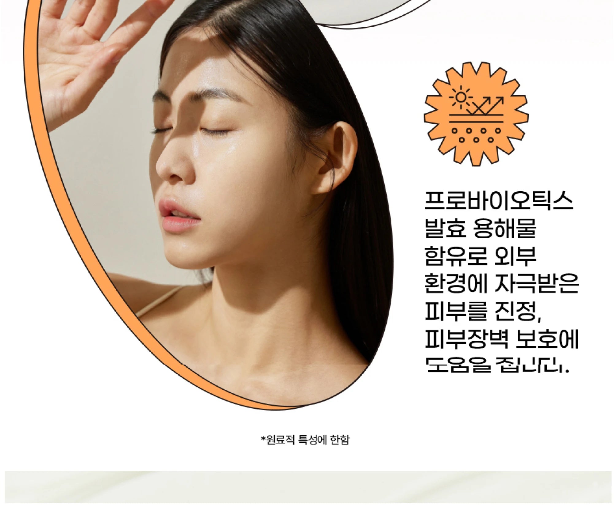 Korean Rice Probiotic Sunscreen SPF50+