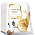 Snail Essence Sheet Mask (10-Pack) – Hydrating & Repairing